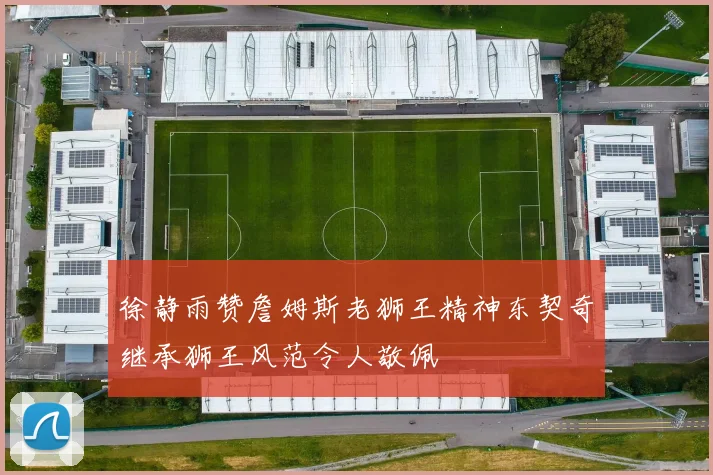 徐静雨赞詹姆斯老狮王精神东契奇继承狮王风范令人敬佩